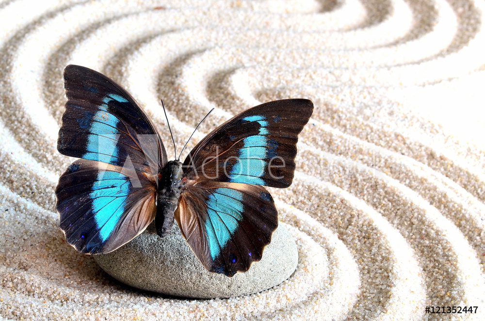 Haal de rust in huis met fotobehang stenen in het zand
